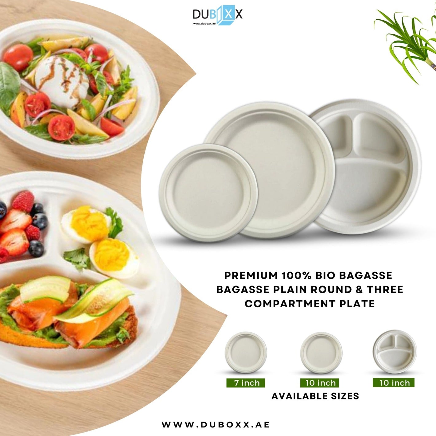 Eco-friendly disposable plates