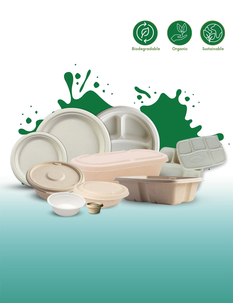 Bagasse Food Packaging 100% Biodegradable