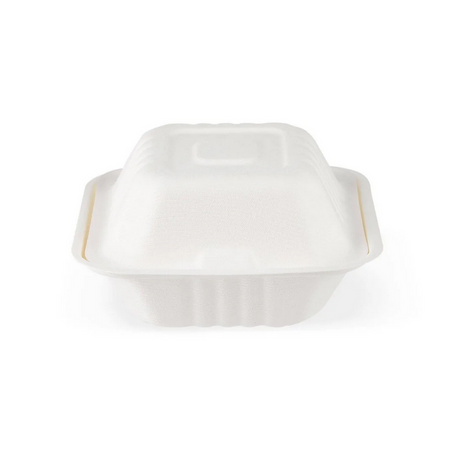 bagasse box